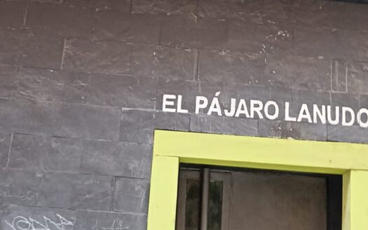 SE ALQUILA LOCAL ANTIGUAMENTE PAJARO LANUDO