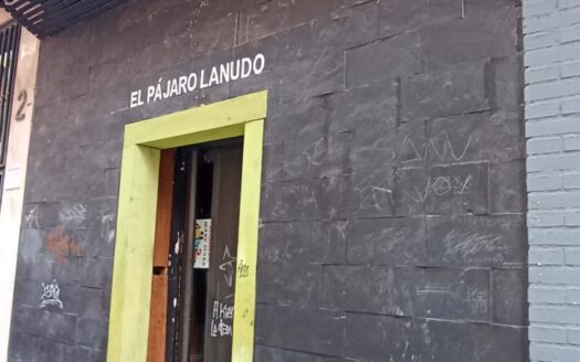 SE ALQUILA LOCAL ANTIGUAMENTE PAJARO LANUDO