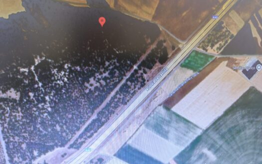 SE VENDE PINAR PINEA EN TORDESILLAS