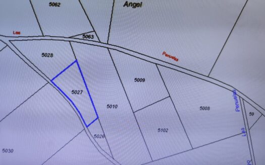 SE VENDE PINAR PINEA EN TORDESILLAS