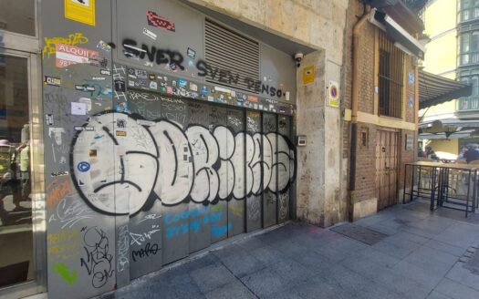 SE ALQUILA PLAZA DE GARAJE