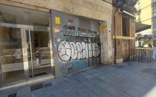 SE ALQUILA PLAZA DE GARAJE